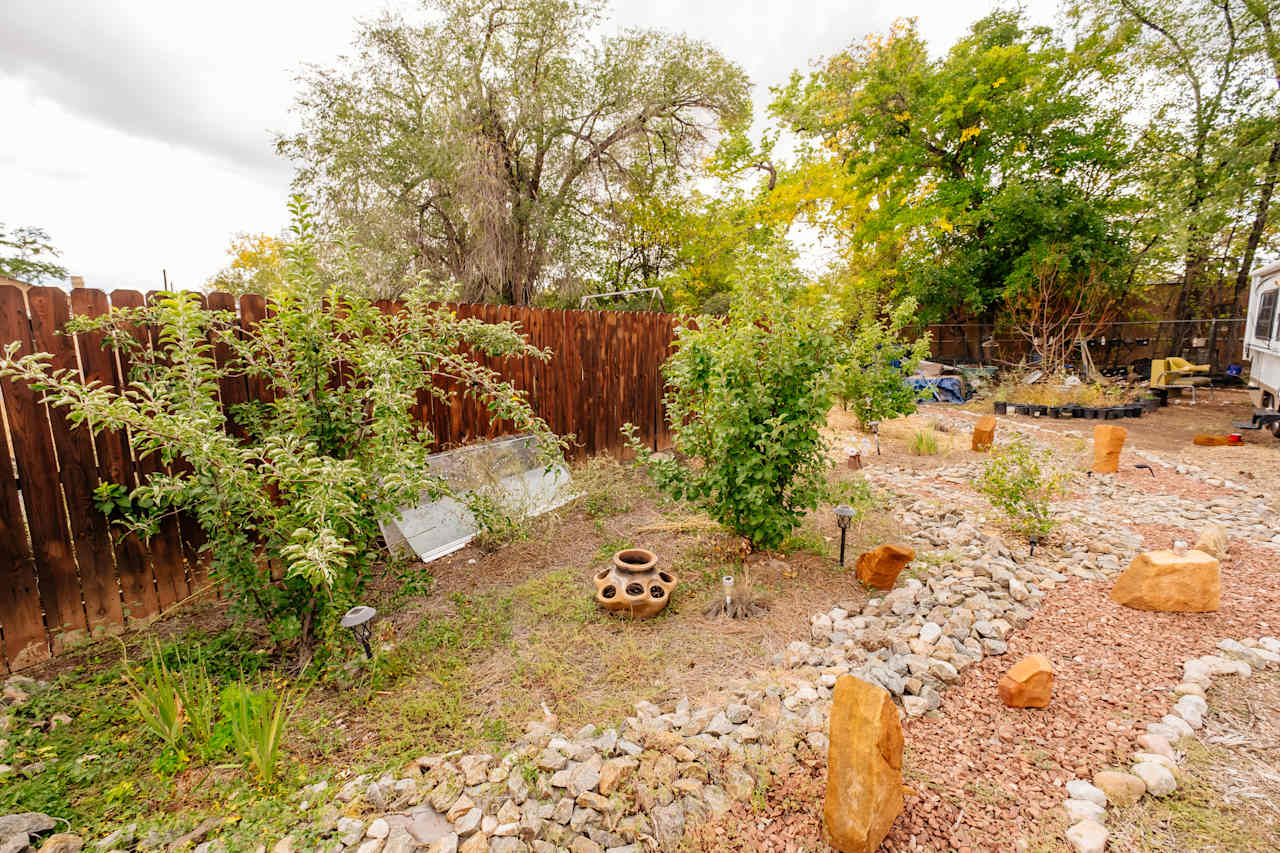 Fruit trees