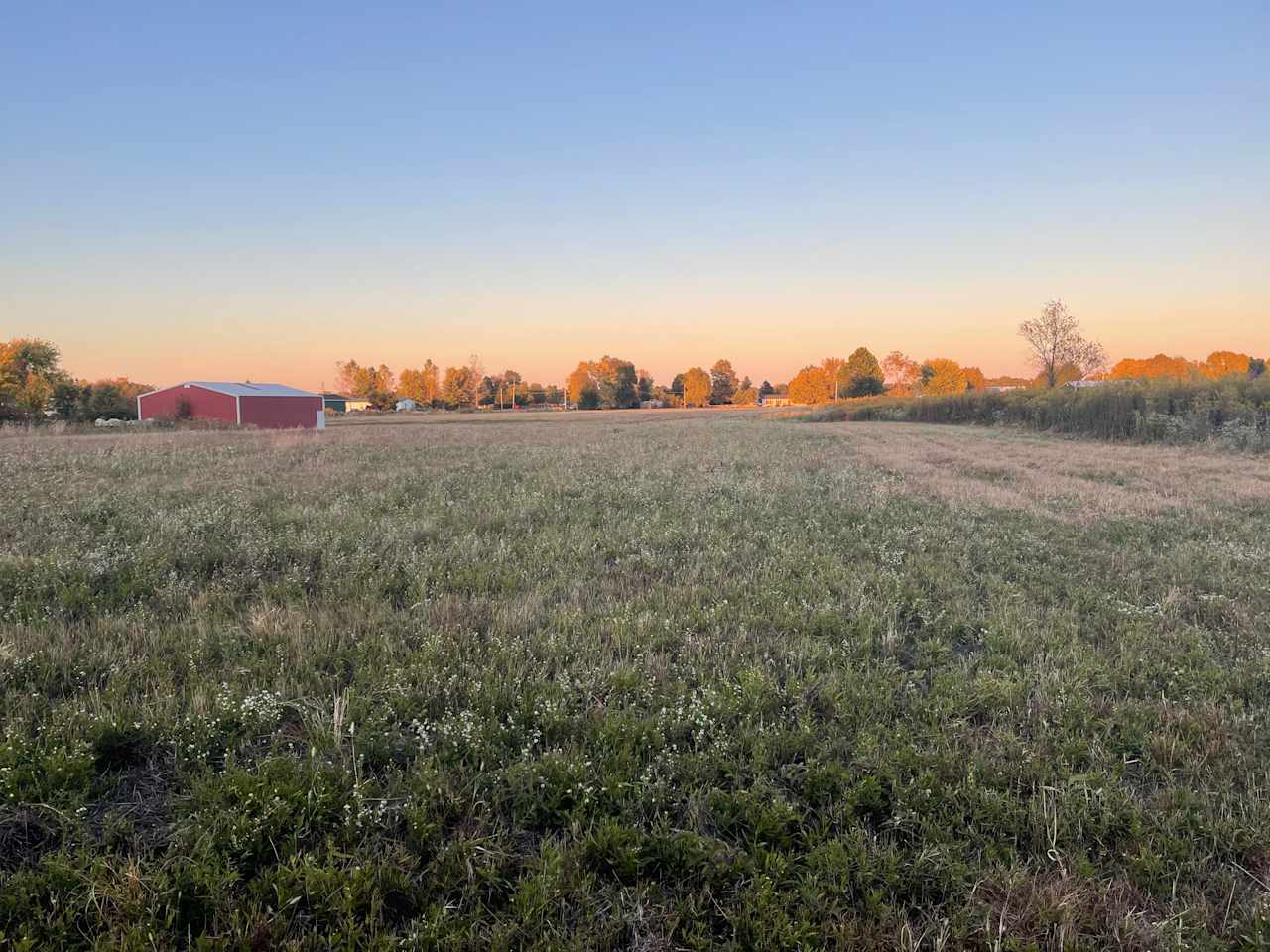Open Meadows Farm