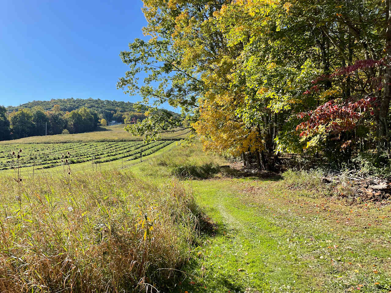 CampsiteDiscGolf @ HighHorizonsFarm