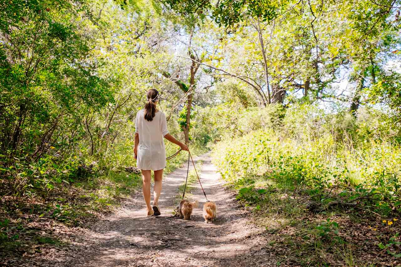Miles and Miles of hiking trails