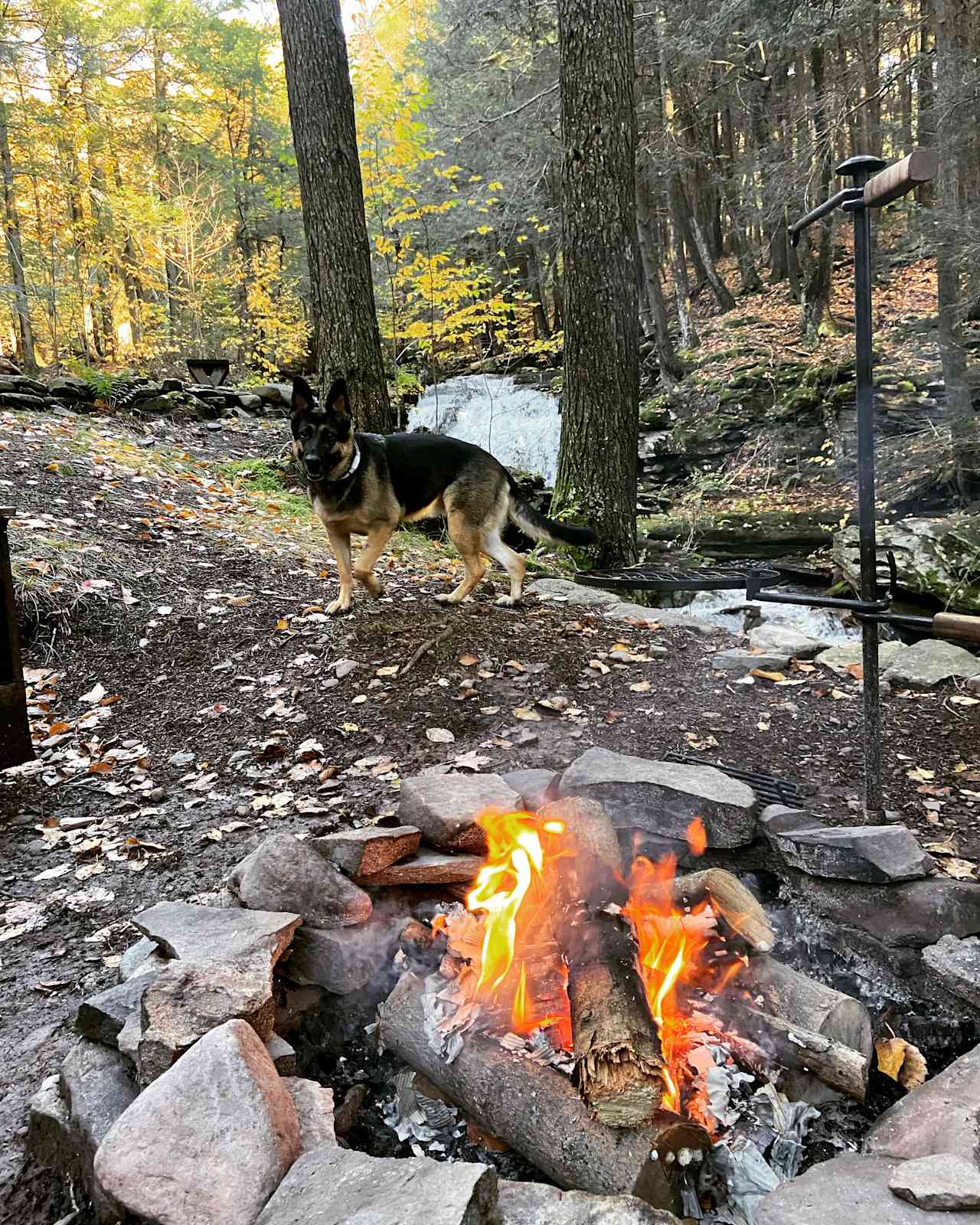 Views of waterfall from the fire pit 