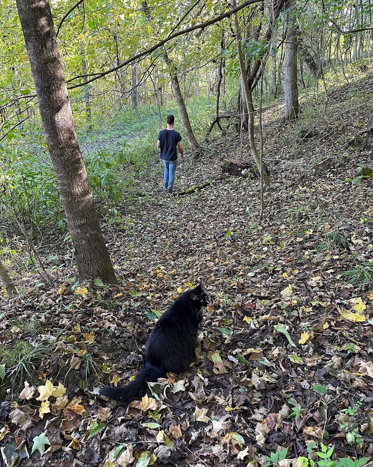 Part of our trail. Our cabin cat Leo is not on the property full time. He lives with us! 