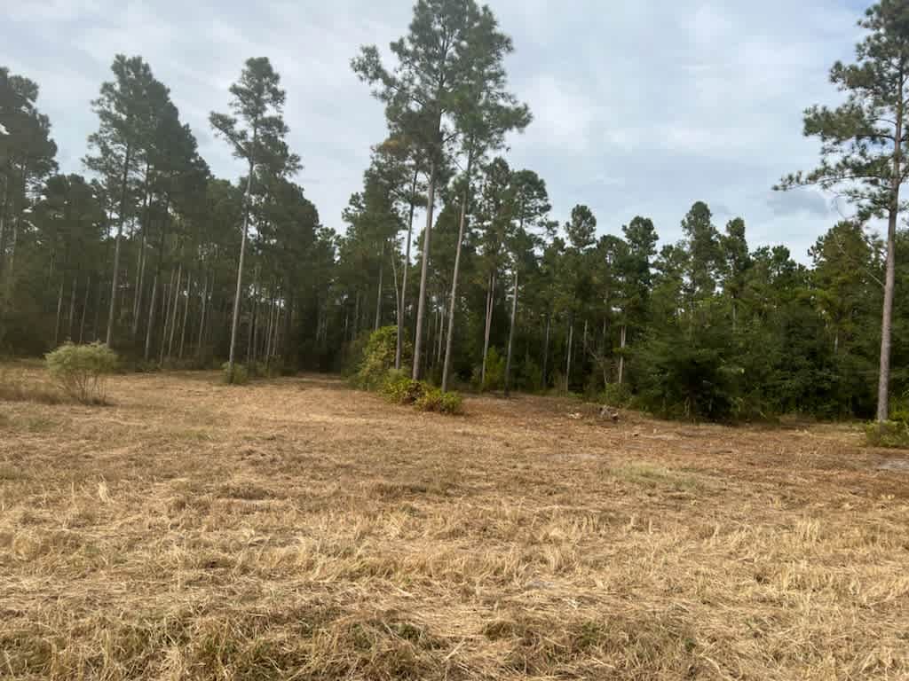 EL Q Farms