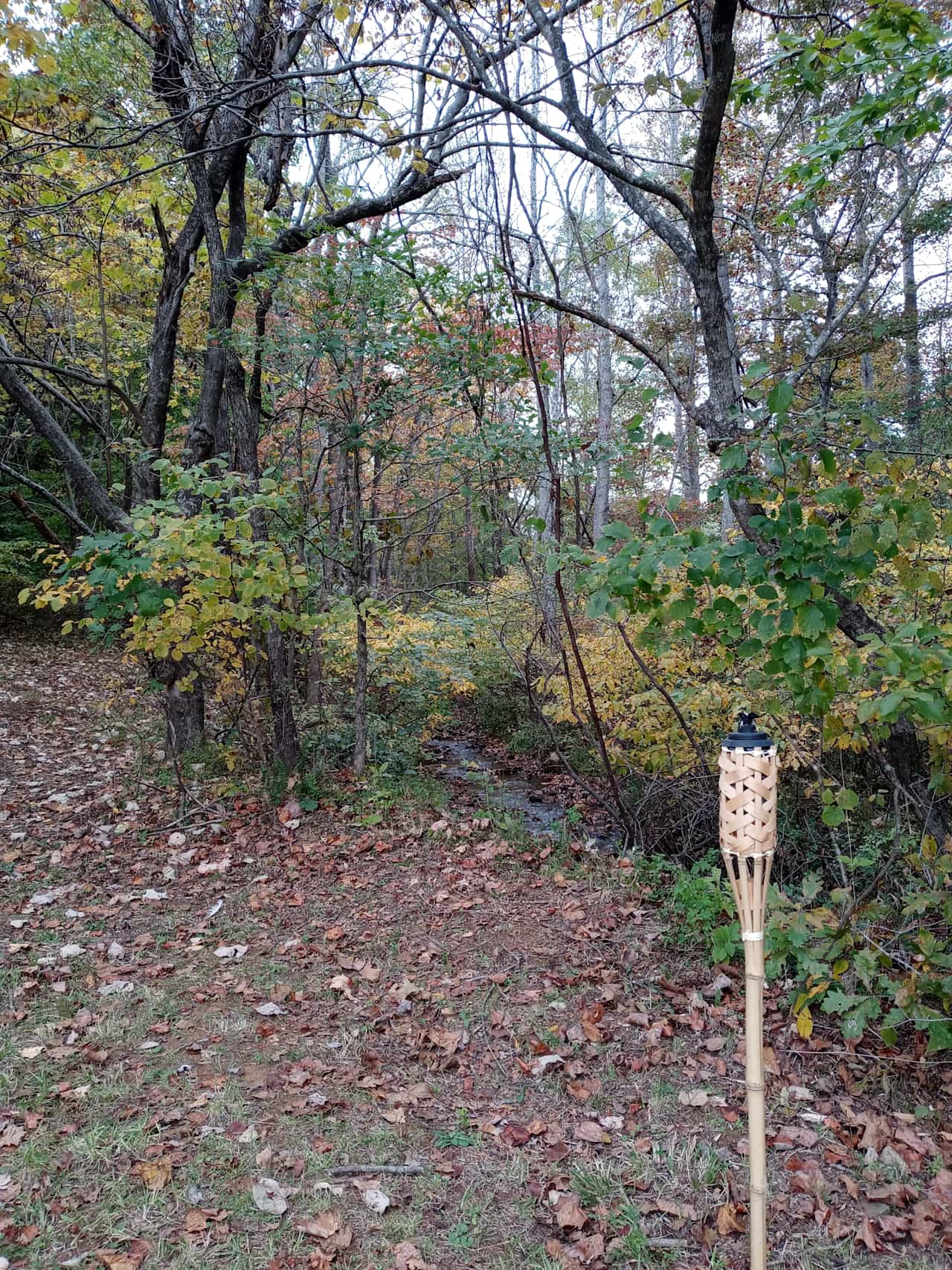 Full tiki torch looking towards the stream near the cow pasture. 