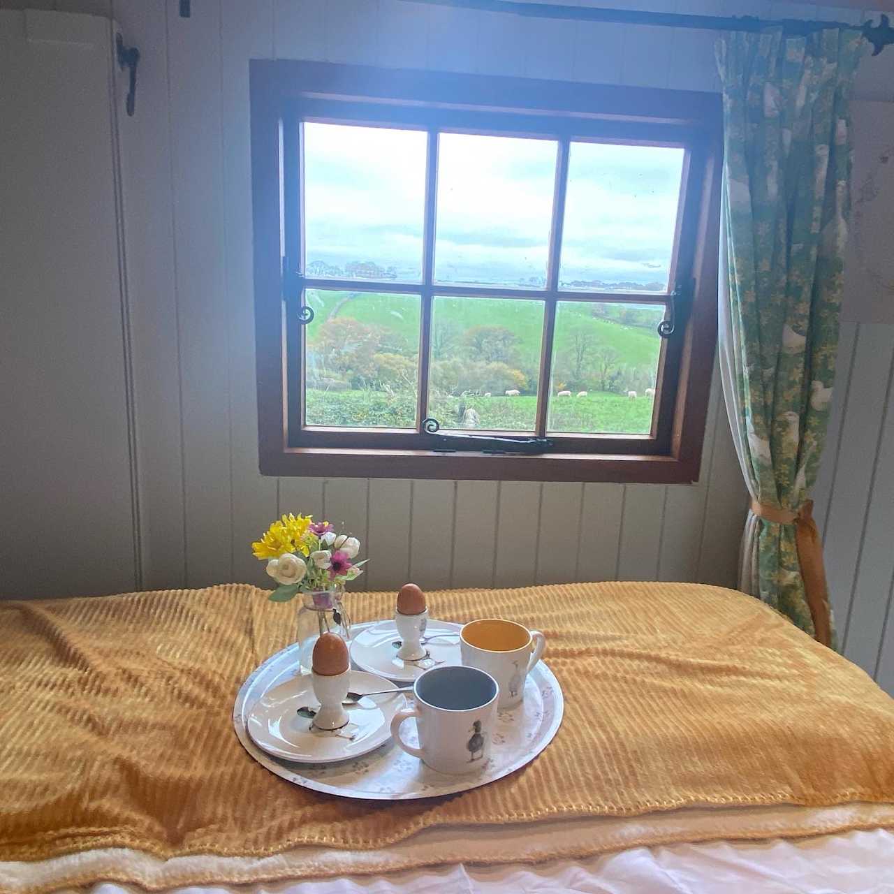 Pattacott Farm Retreats