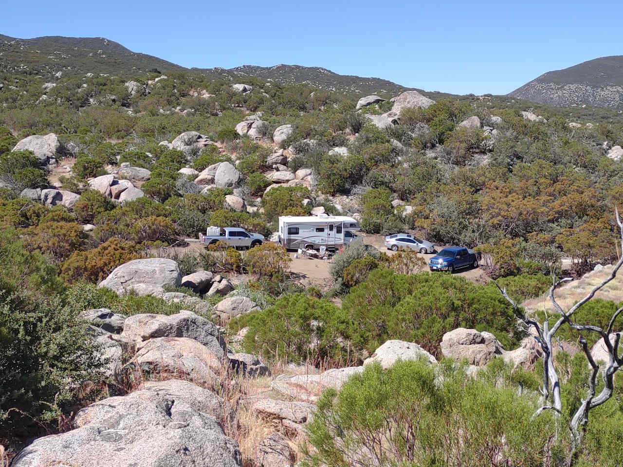 Camp Palm Canyon Epic