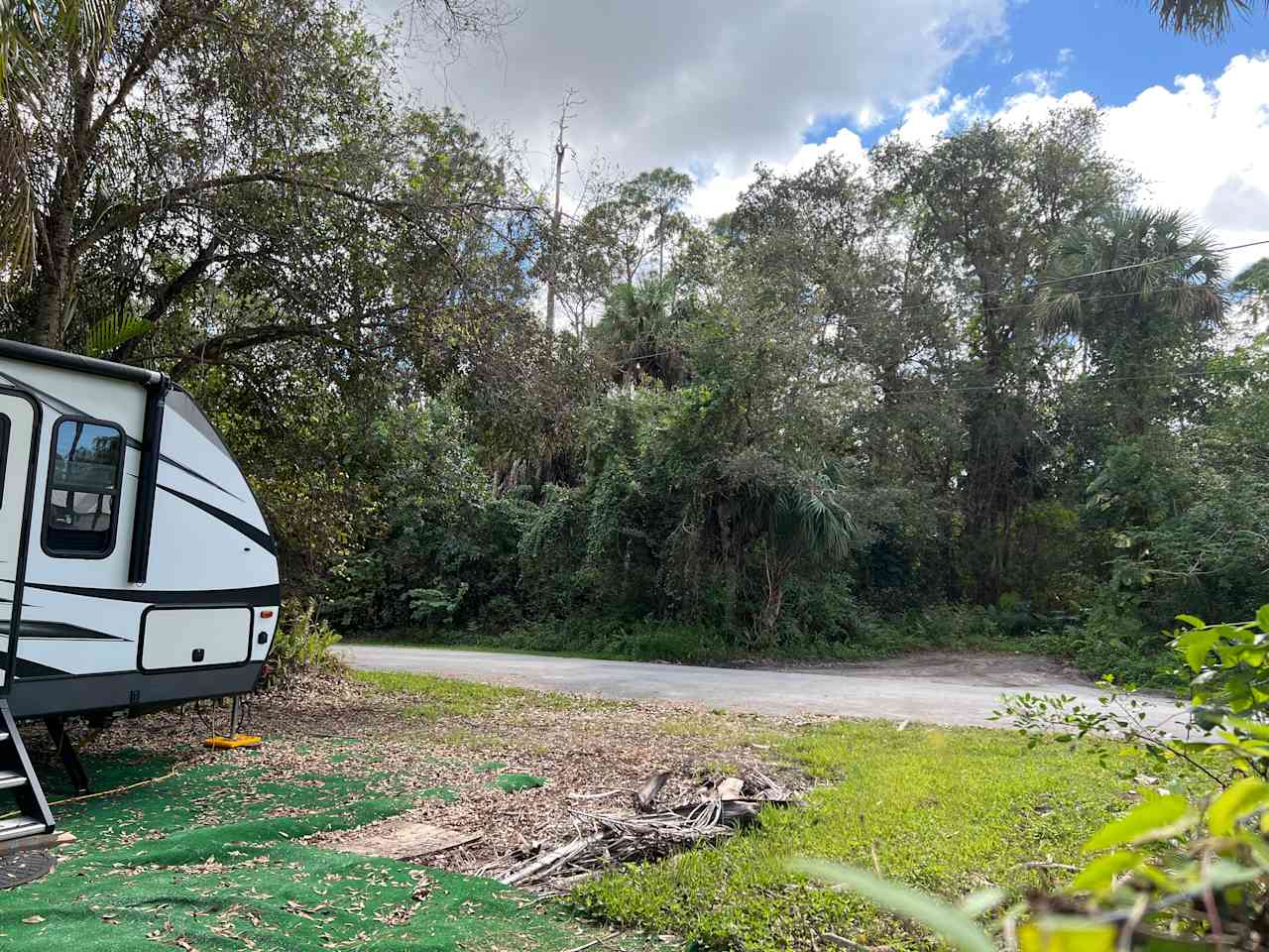 Longwing Landing Oak Hammock