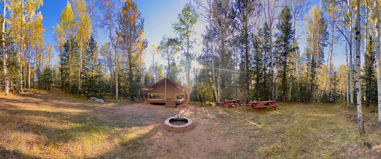 Quaking Aspens Campsite- For Kids!