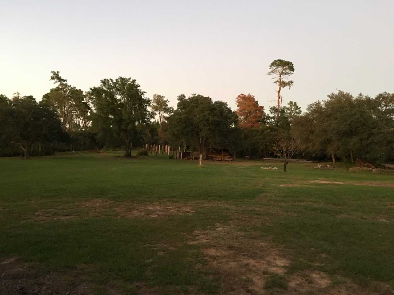 Golden Oaks Farm