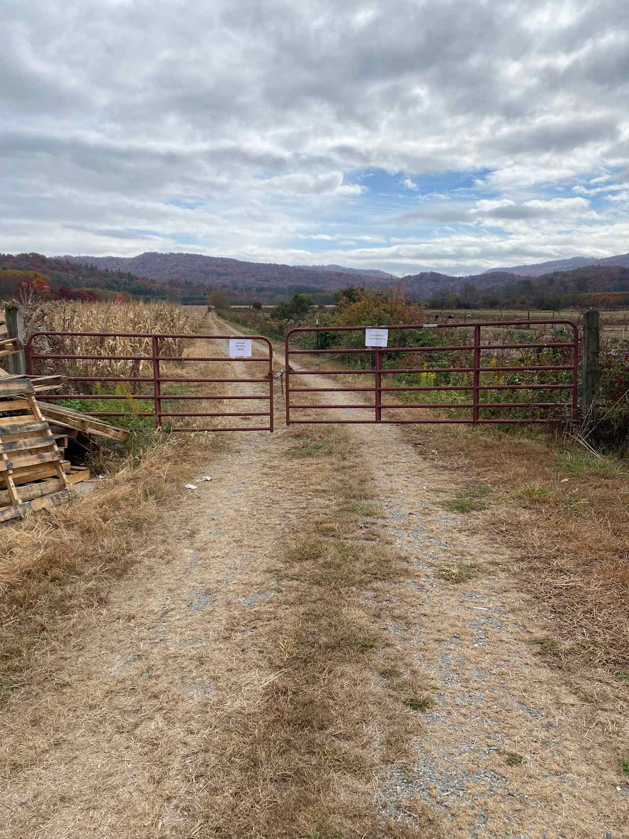 View of gated entrance.  Beside PRIVATE dumpster (please do not dump trash in their dumpster)
