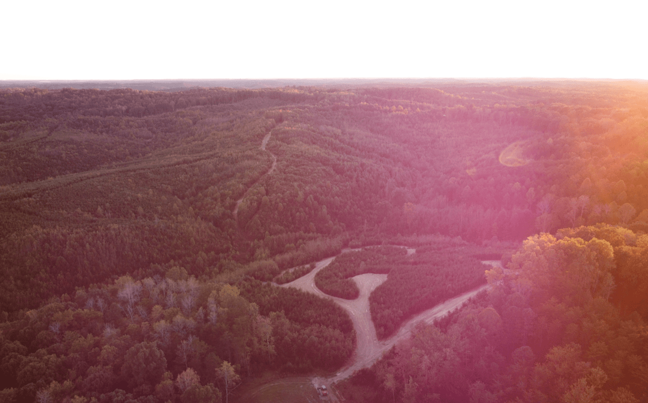 Hawk Falls