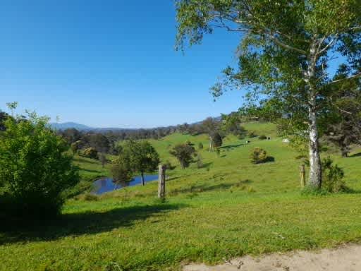 View from Site 2