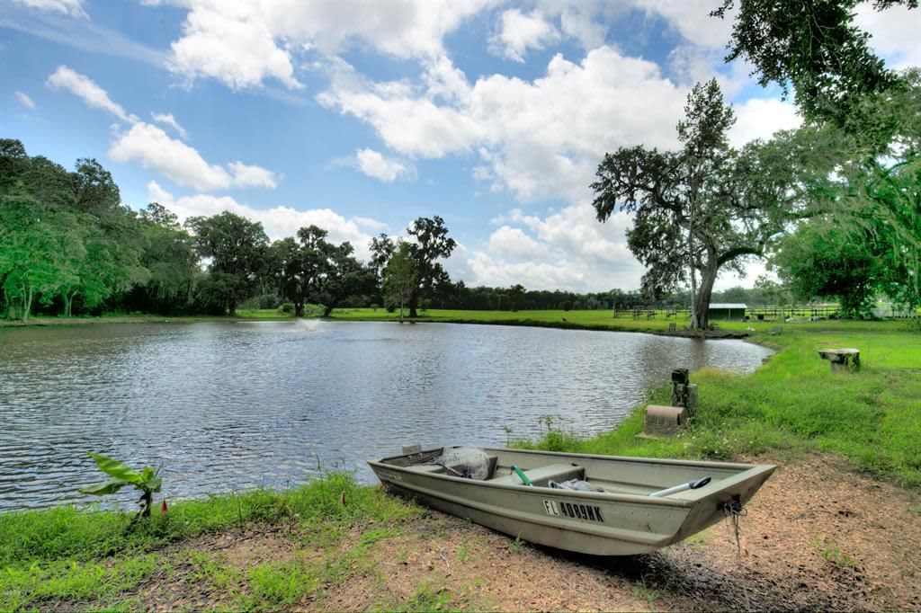 1 acre Spring Fed Pond no chemicals where you camp and fish if you like stocked with Tilapia, largemouth bass