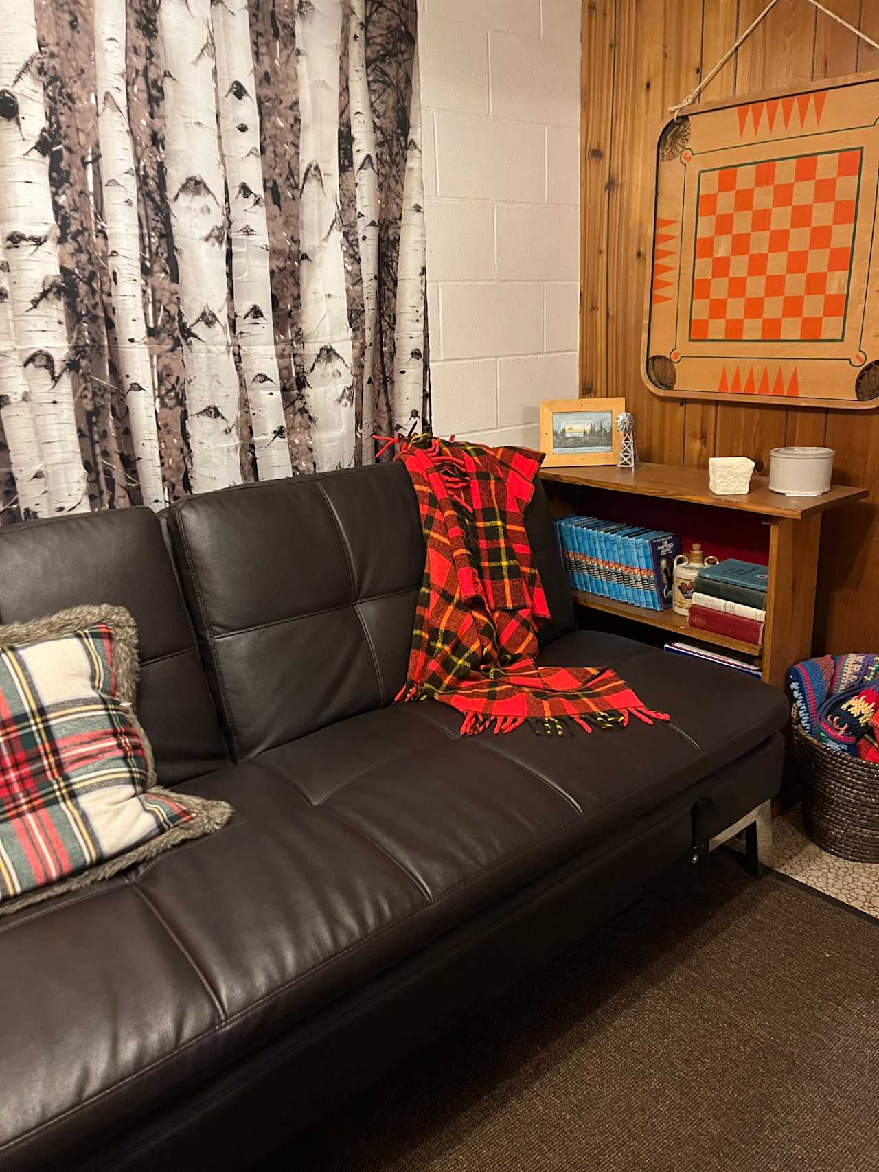 Basement den with TV