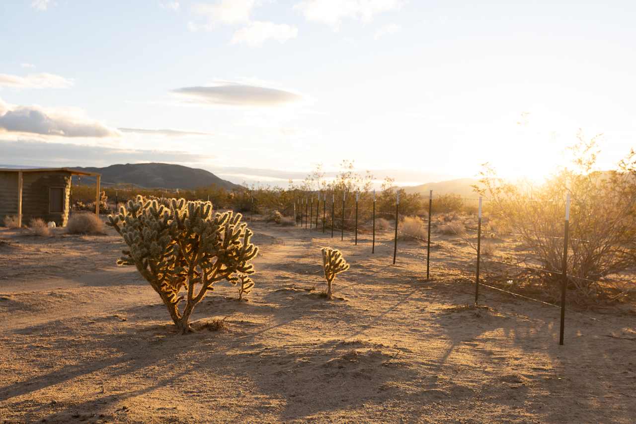 Roadrunner retreat