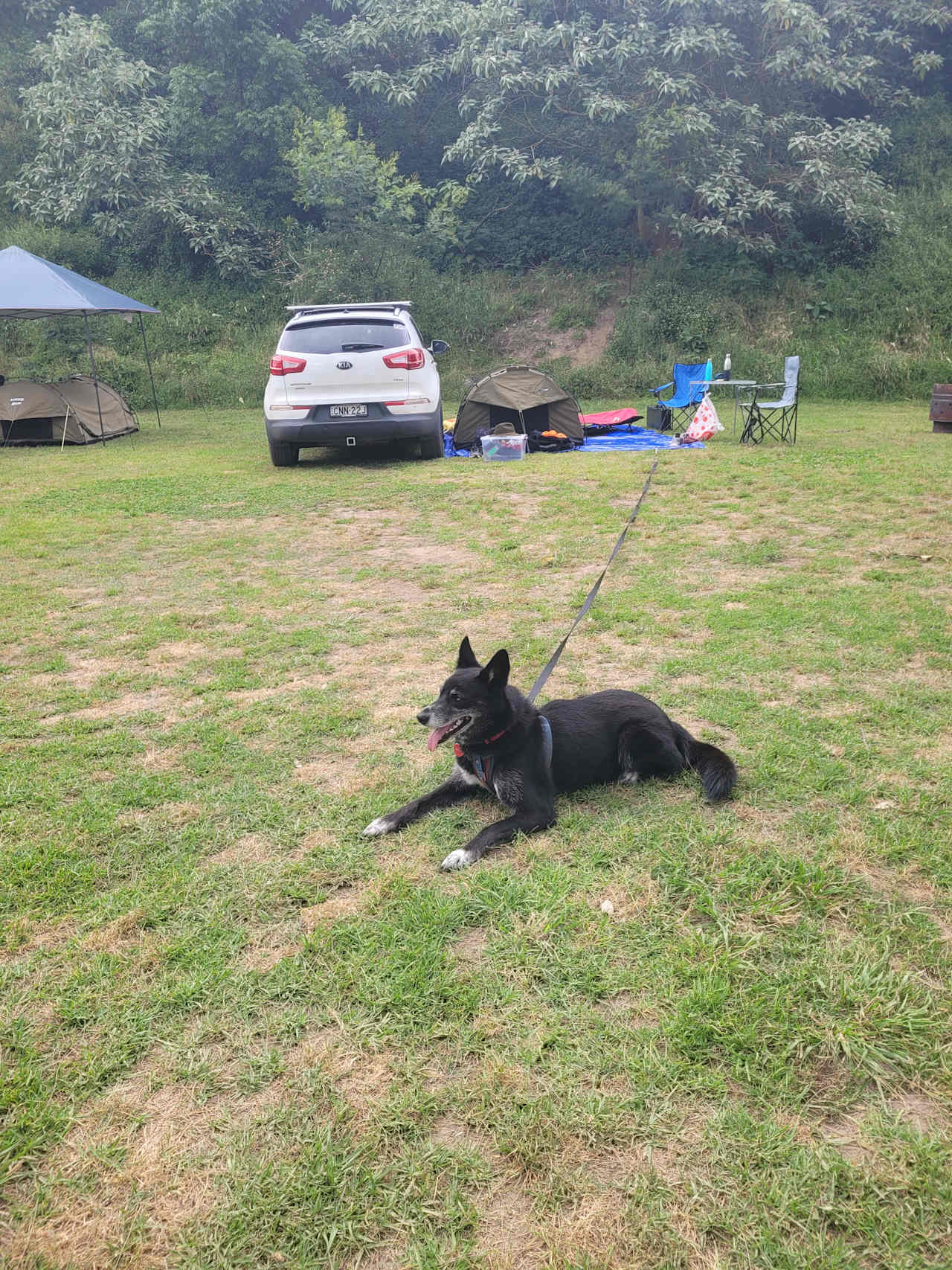 Grady's Riverside Retreat