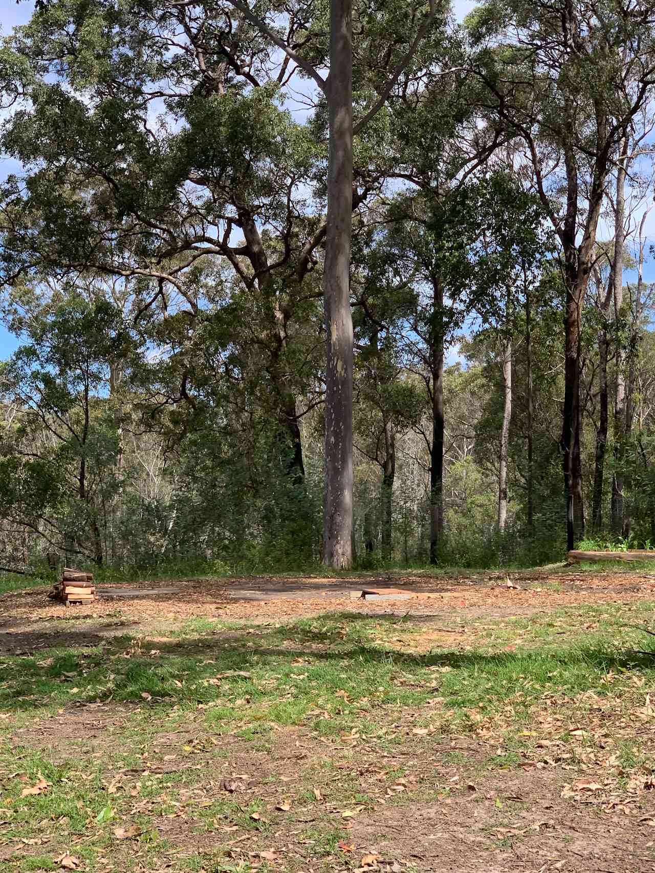 Campsite