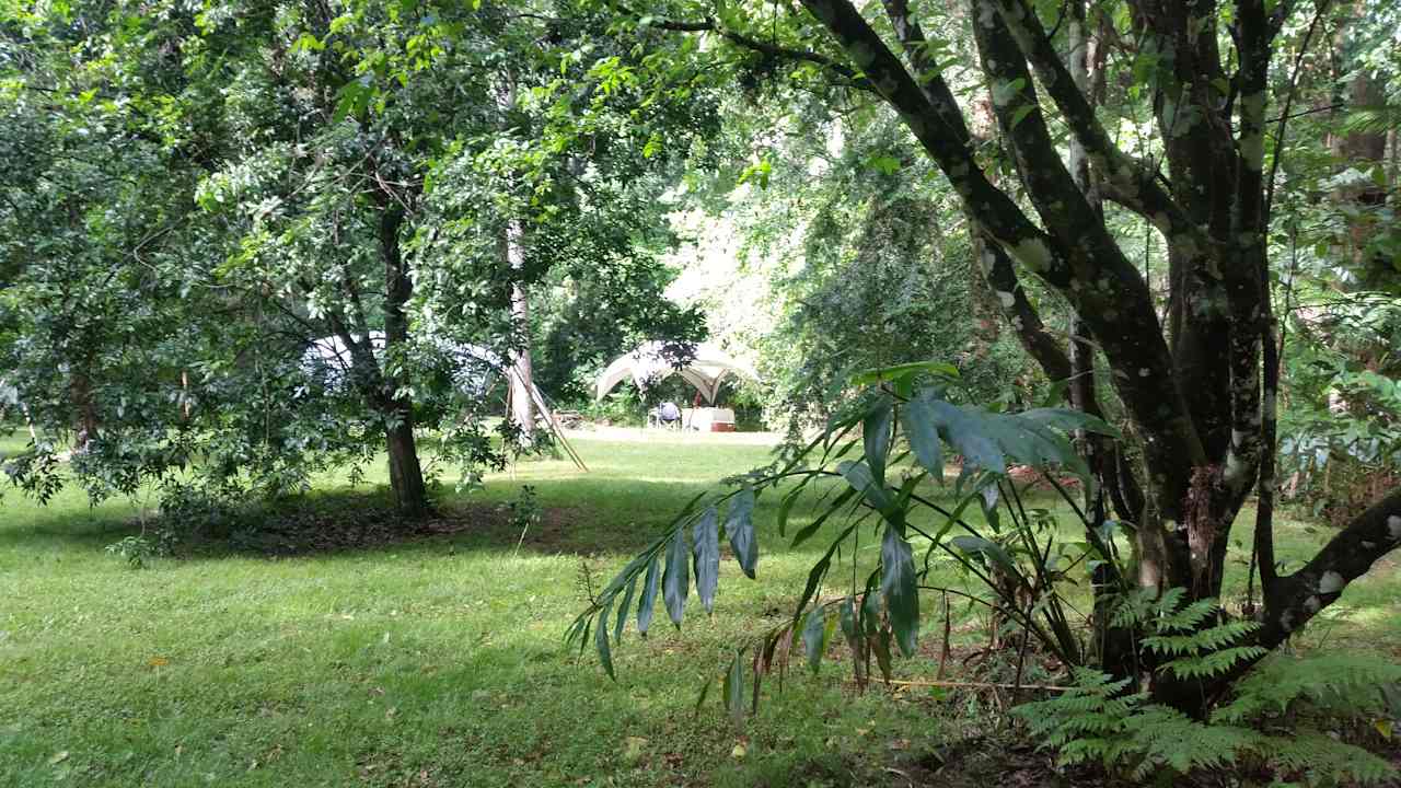 Bush tucker orchard