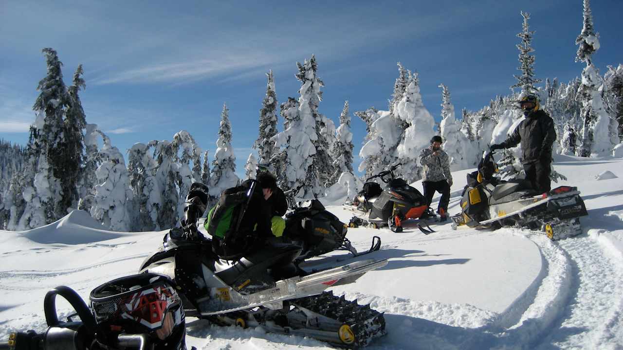 Sled Adventures