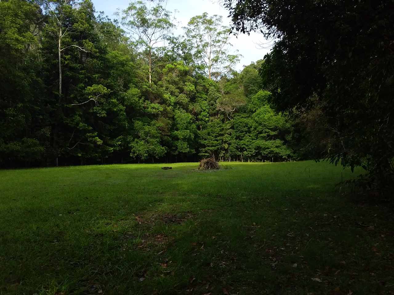 Lots of space and lots of trees