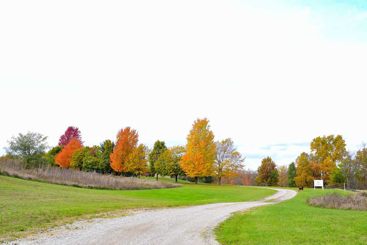 The driveway to EarthWell