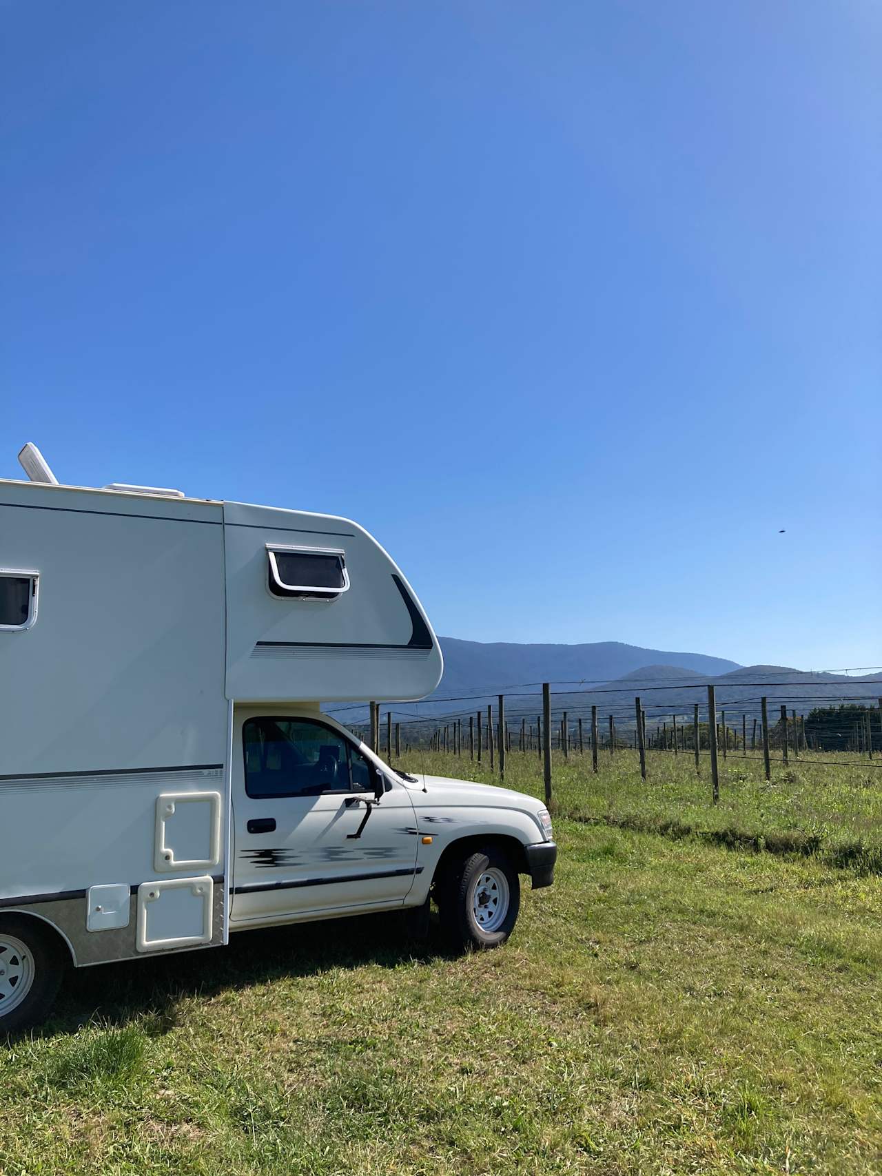 Summerhill Vineyard
