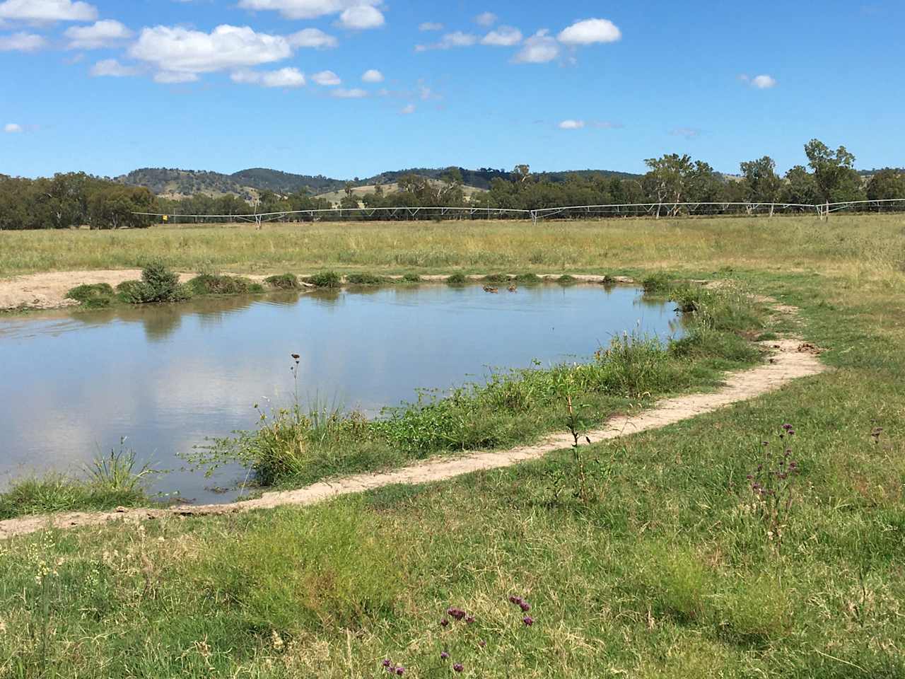 Mt Hope Camping