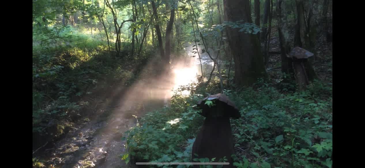 Second Valley and the spring on a foggy morning hike.  Oh yea, the mushrooms are not real.  haha