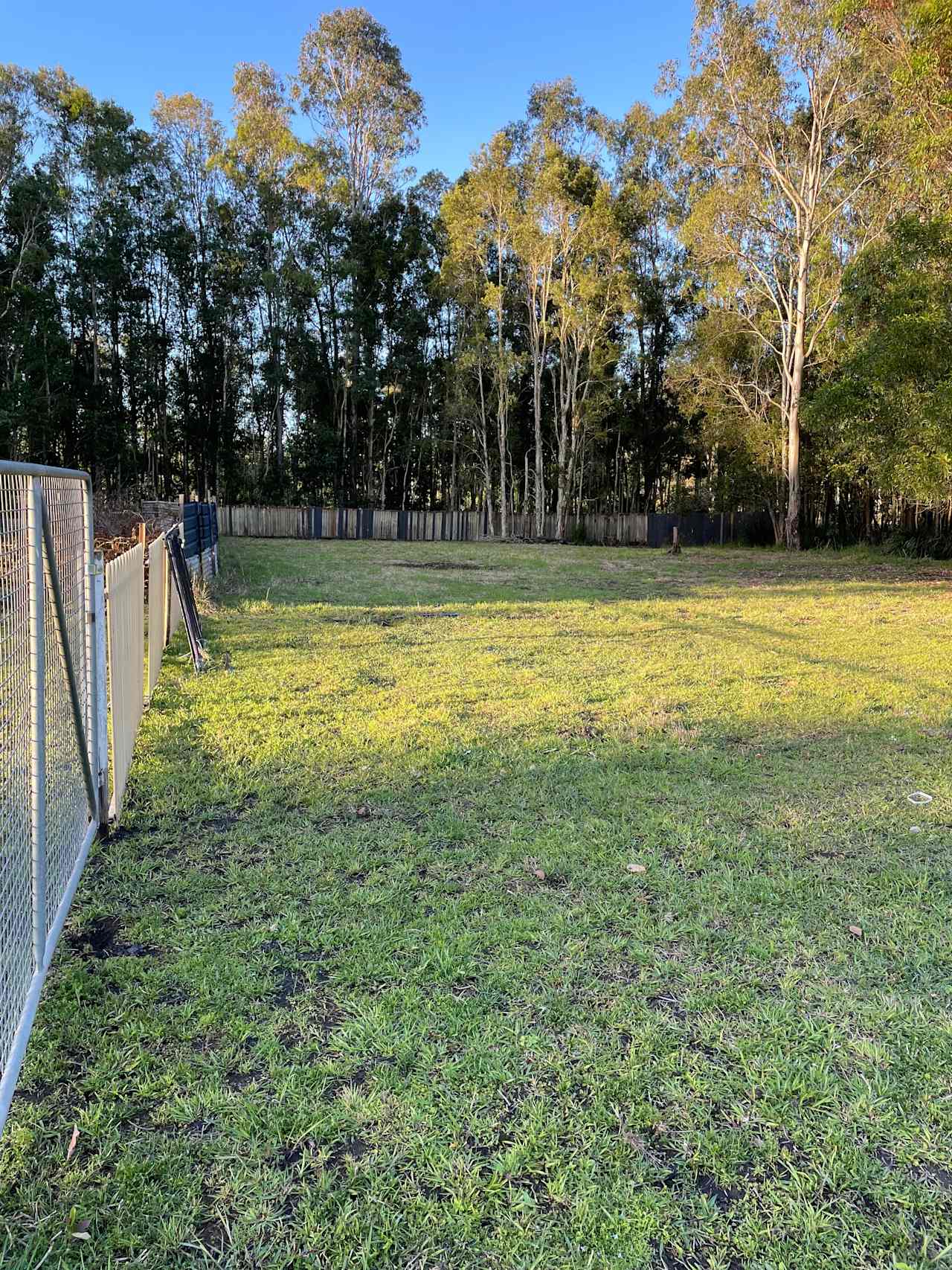 Boho Wilderness Noosa Farm Lake