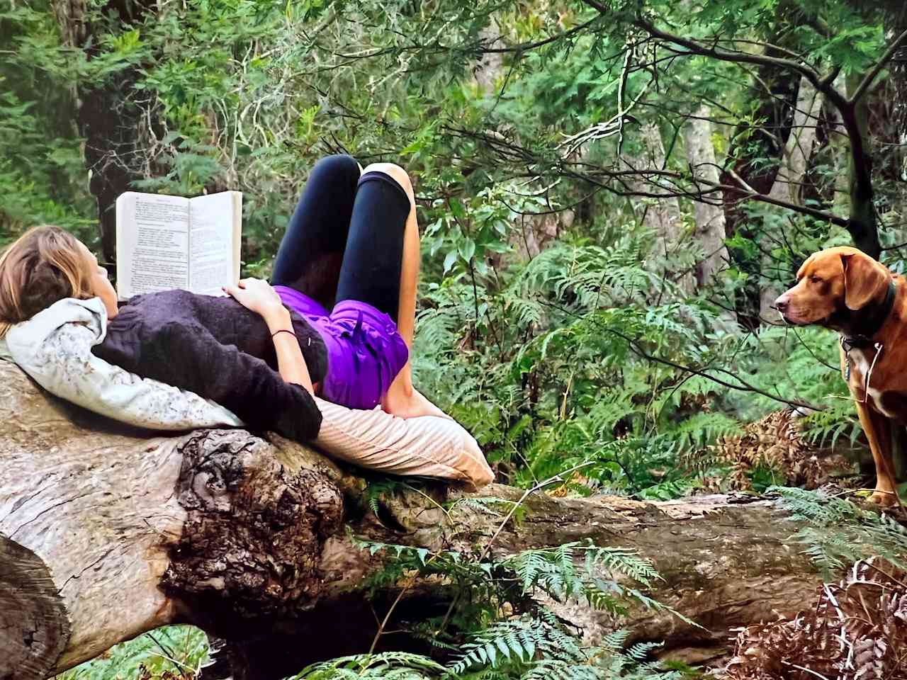 Babbling Brook 4WD Camping