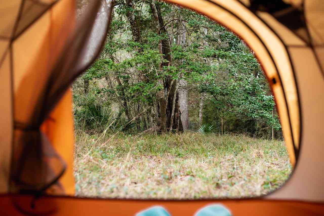 tent views