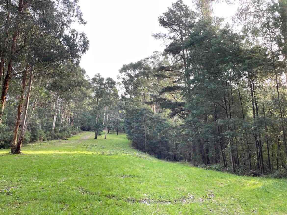 Merrimans Creek Seclusion