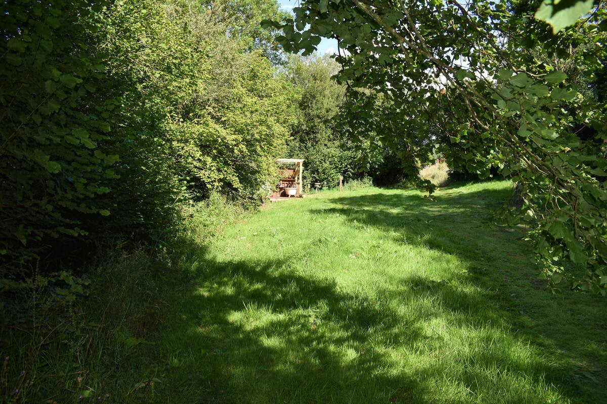 Owls Hollow