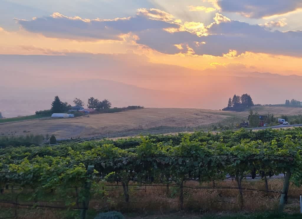 Catch some amazing sunsets from the winery lawn.