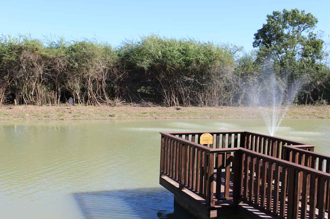 Fishing Pond