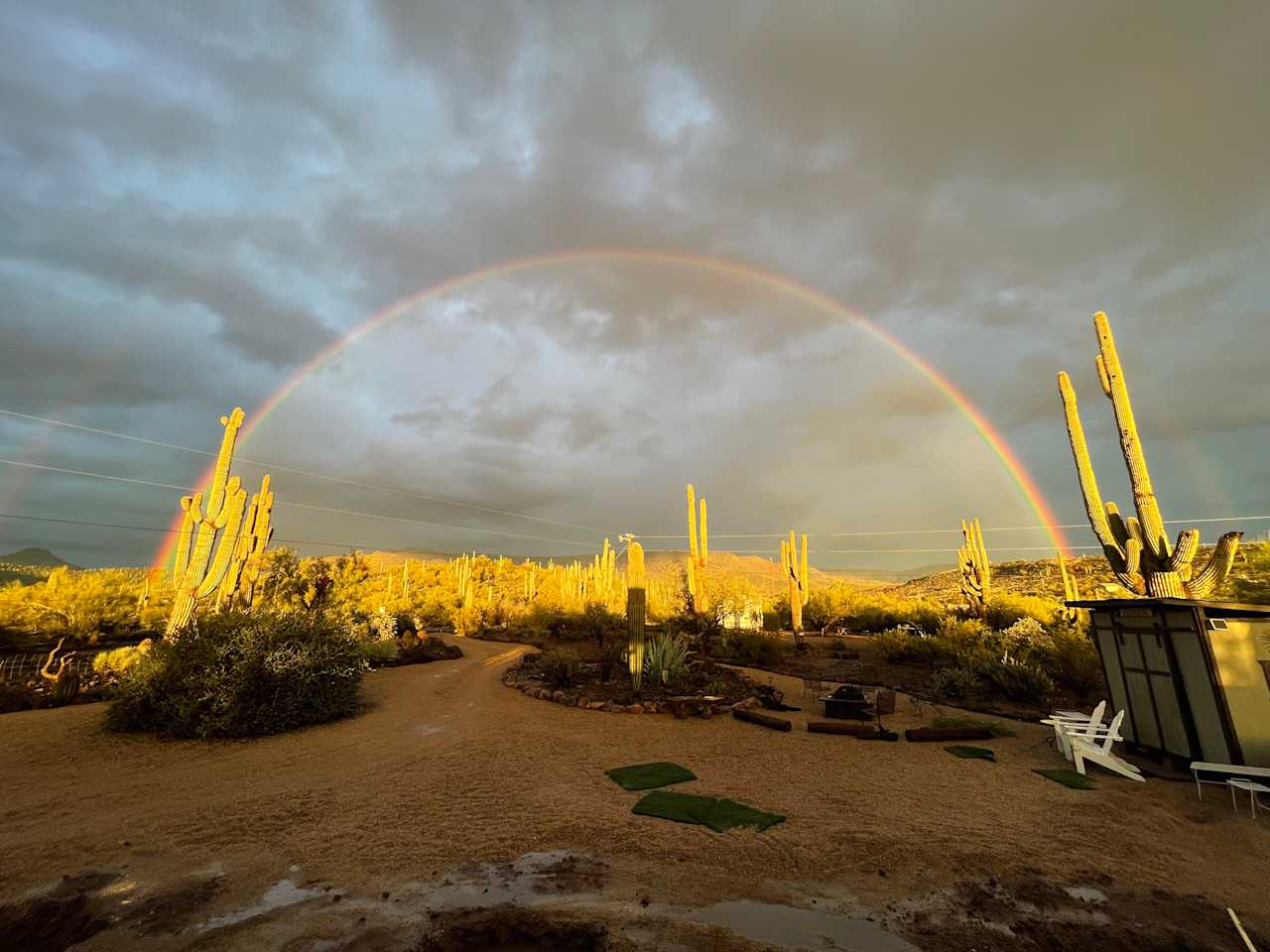 Saguaro Forrest @ Dragonfly Ranch