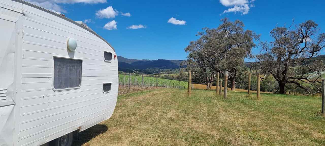 Summerhill Vineyard