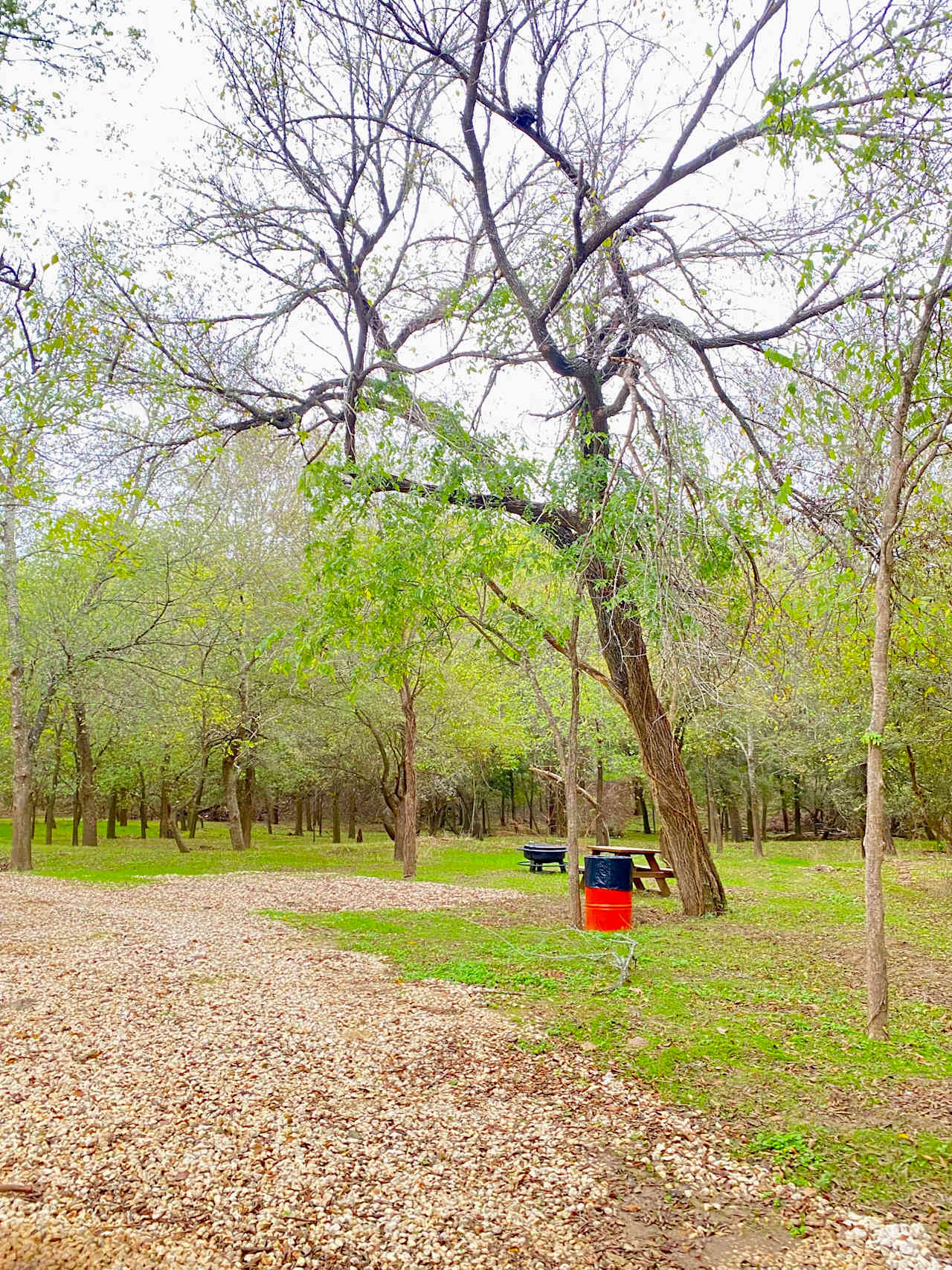 🏕️ site #3 PRIVATE Tucked into the woods a bit but just feet from the riverbank and the community bathhouse!! 