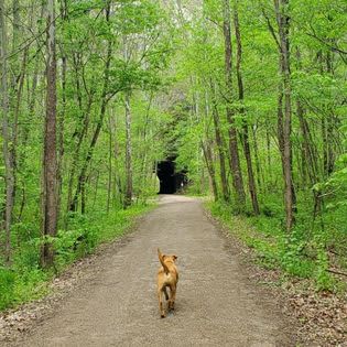 Kings Hollow Tunnel is a short jaunt from camp.
