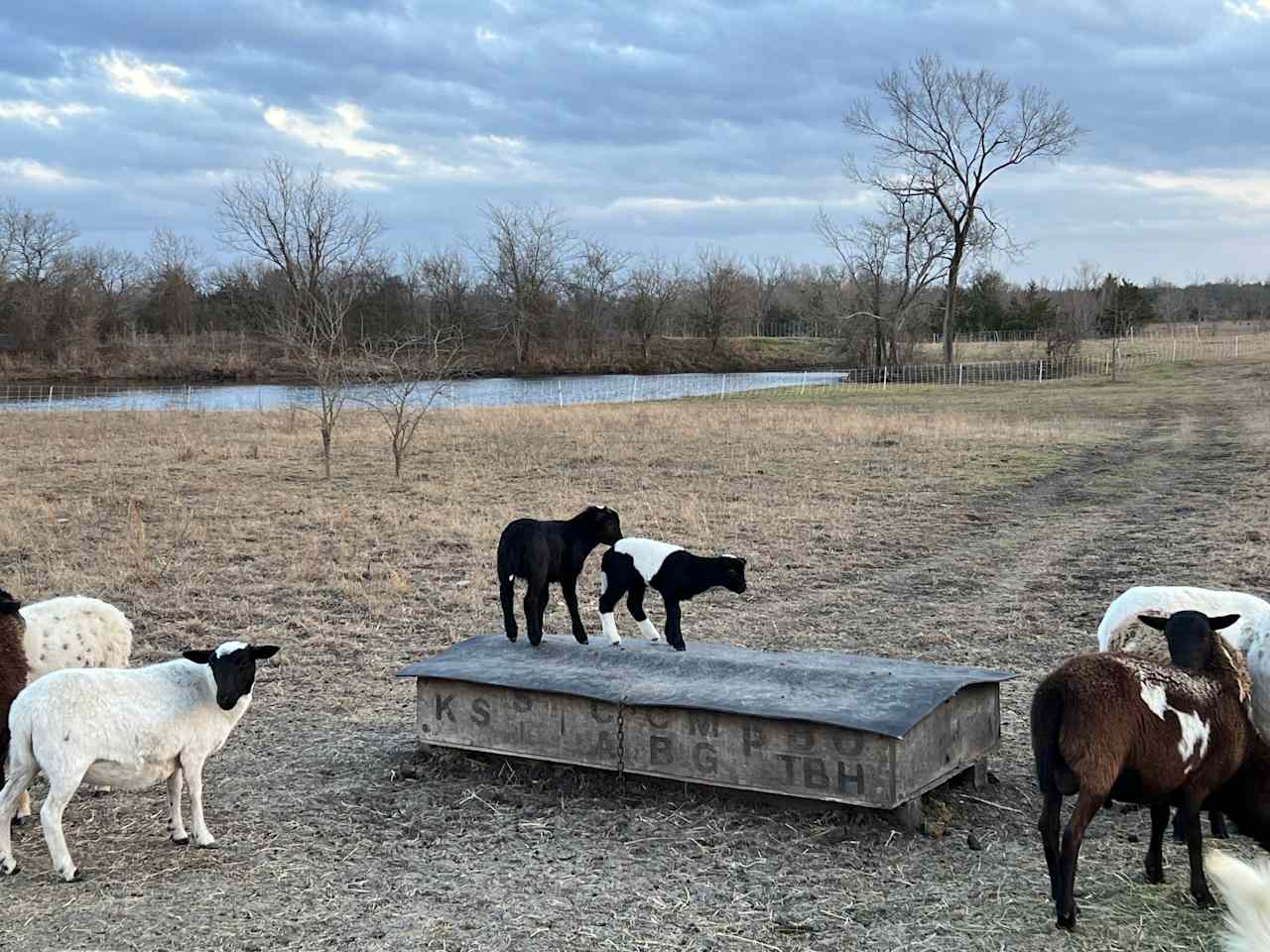 Vrooman Ranch