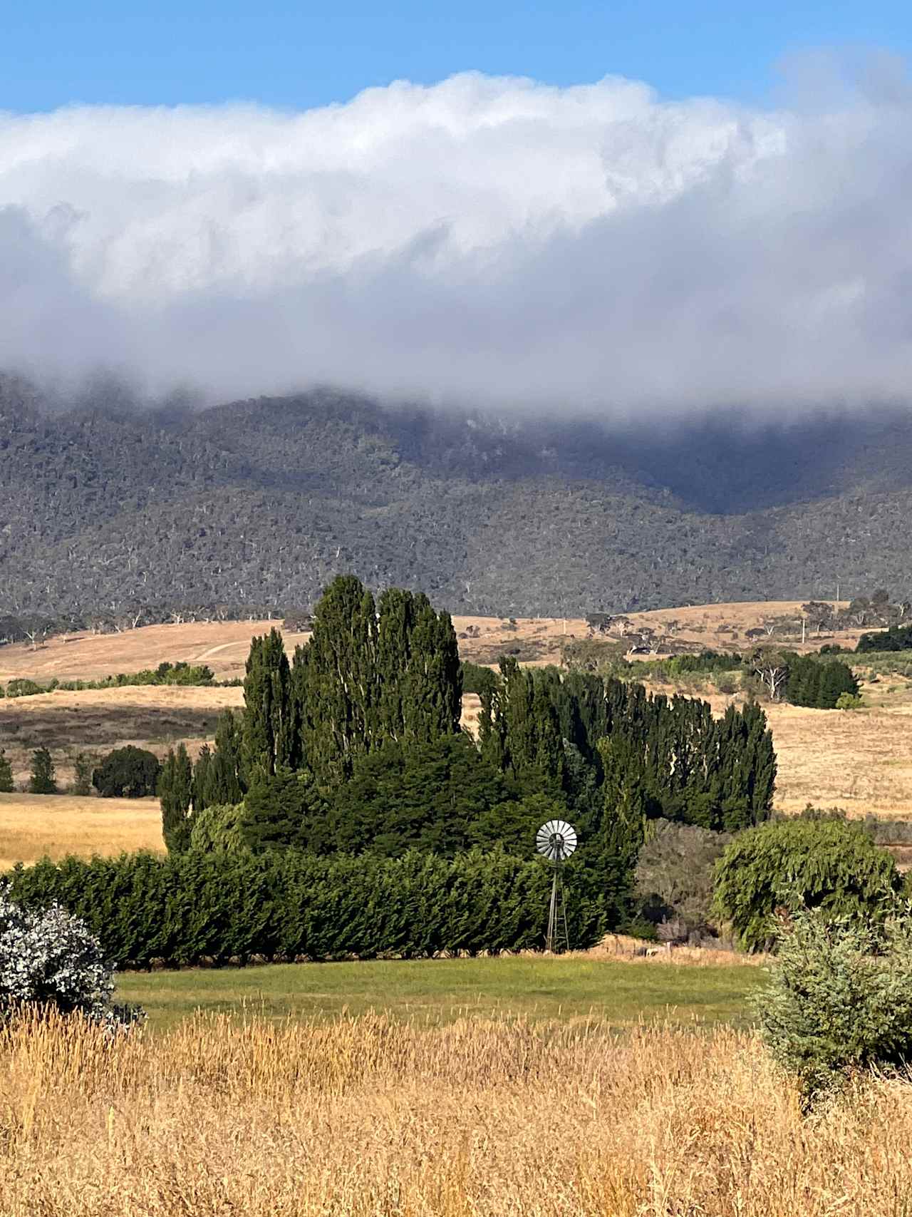 View of the Numeralla hills from Shellgrove Cottage