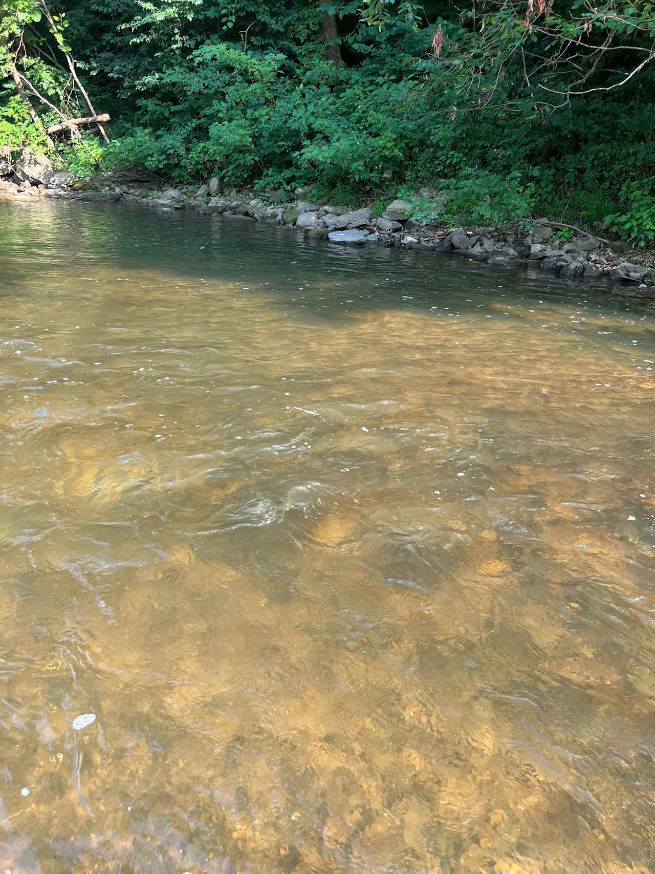 Big River Outdoors Campground