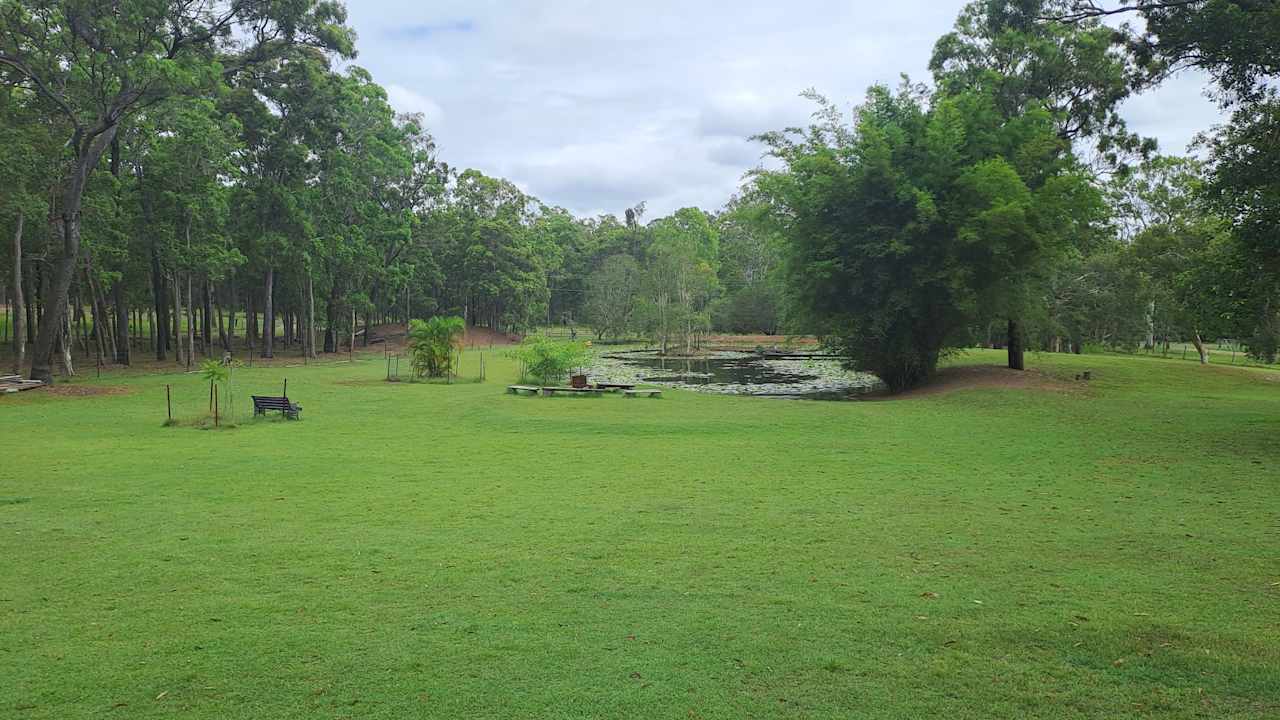 Jarrah Noongar