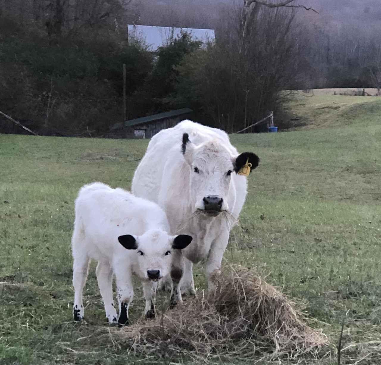 Riverbend Farm Retreat