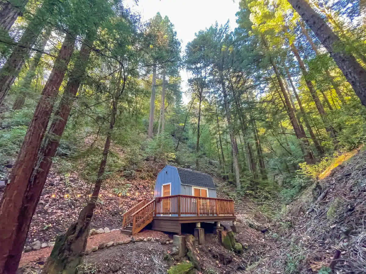 Private Cabin (w/ hot tub & sauna)