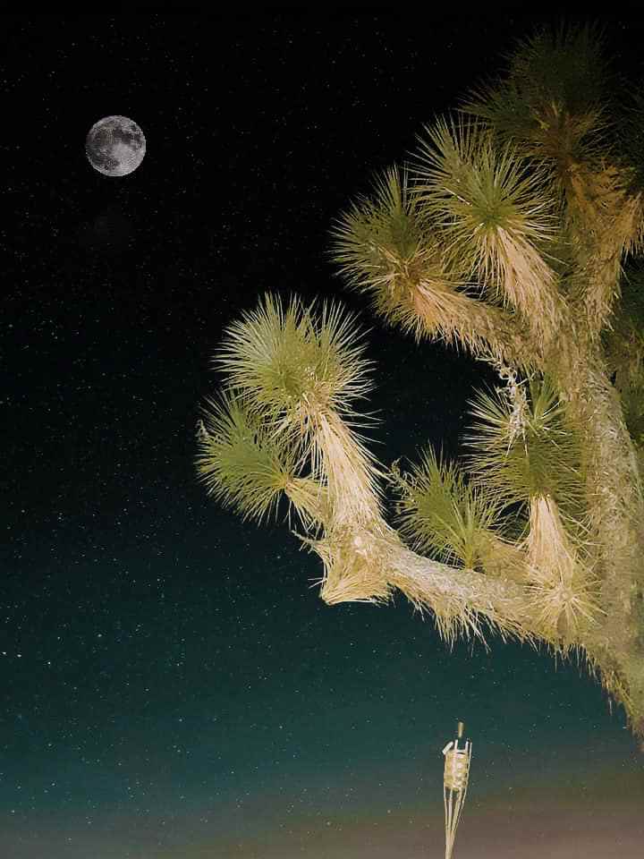 Magic in the Mohave