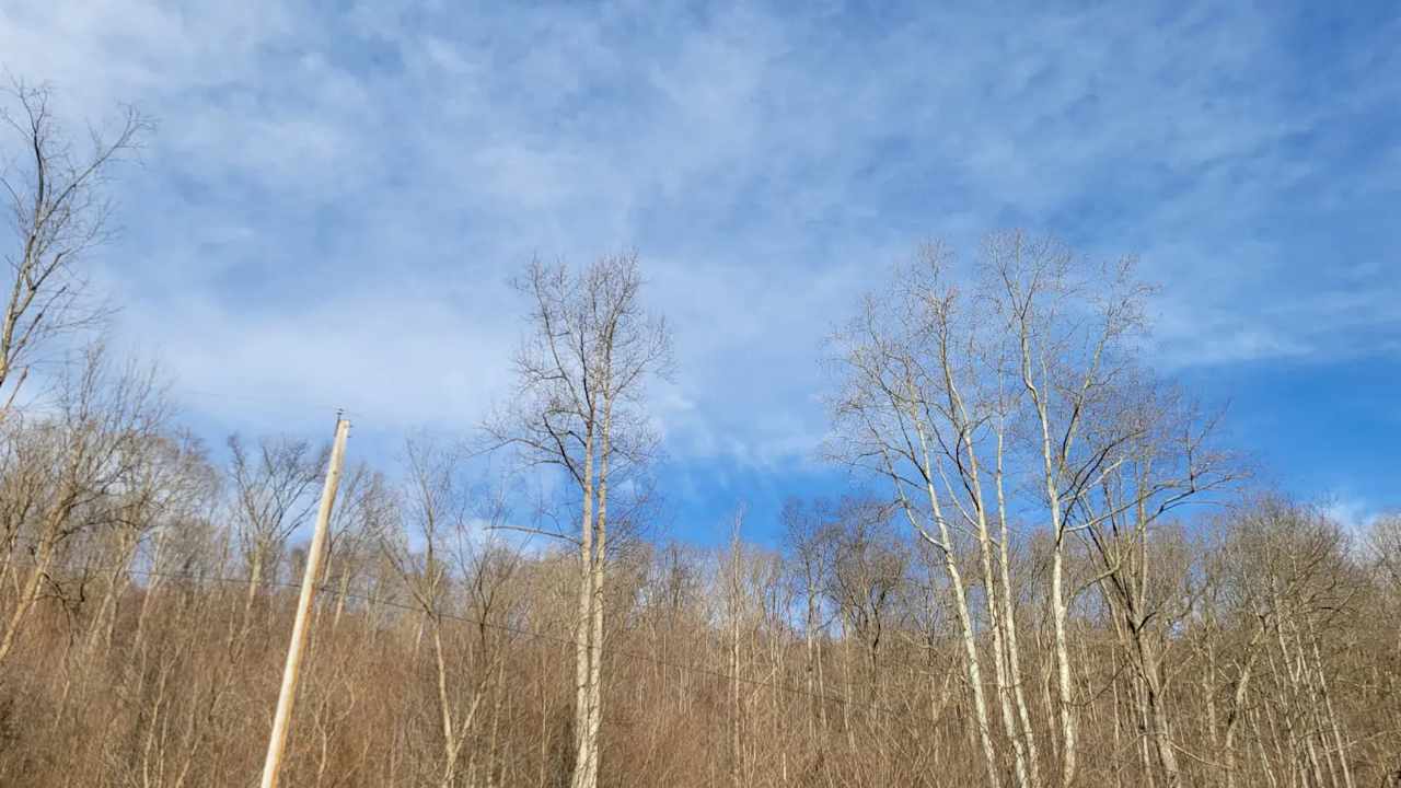 Camp Creek