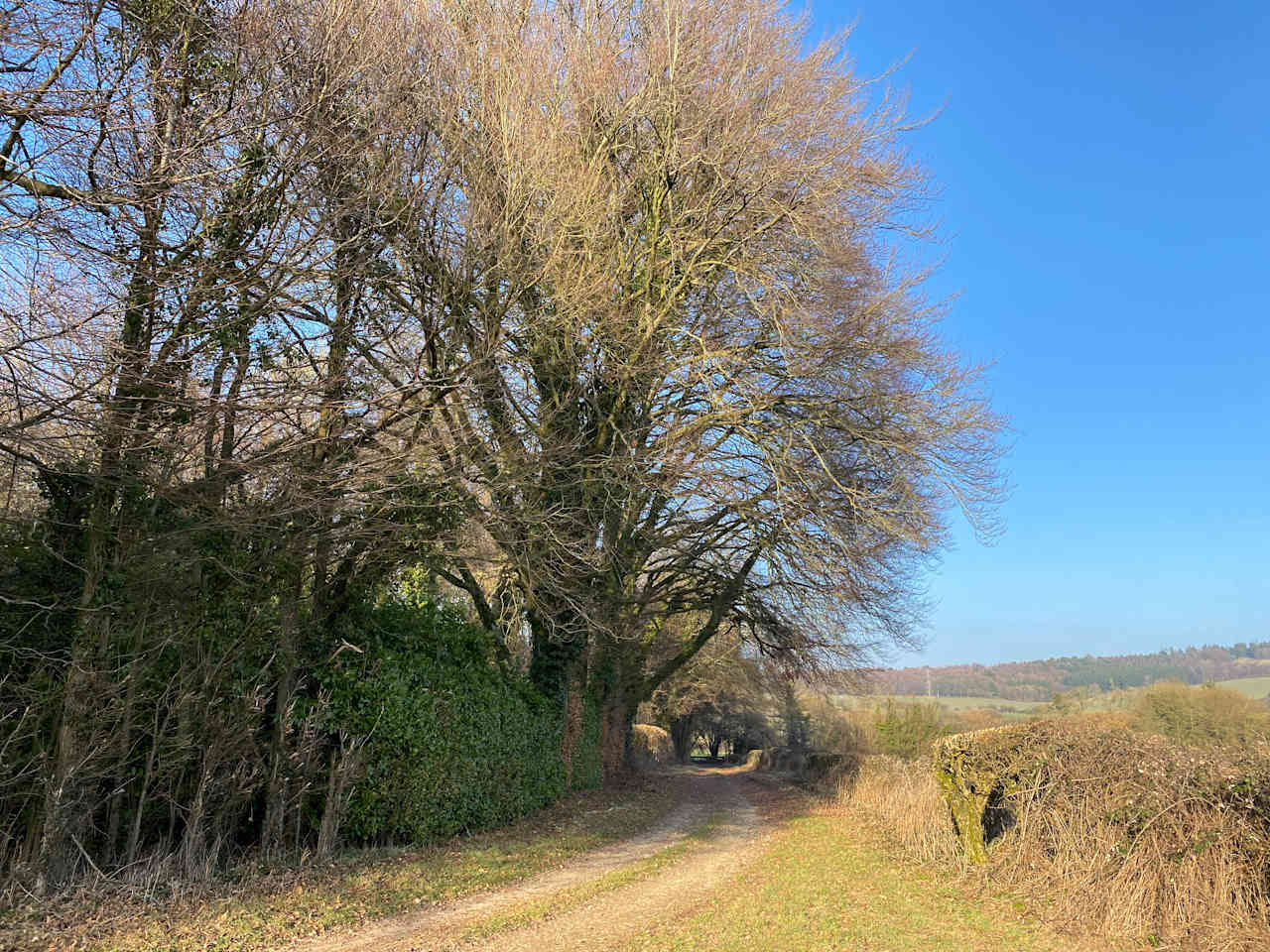 South Allenford Farm