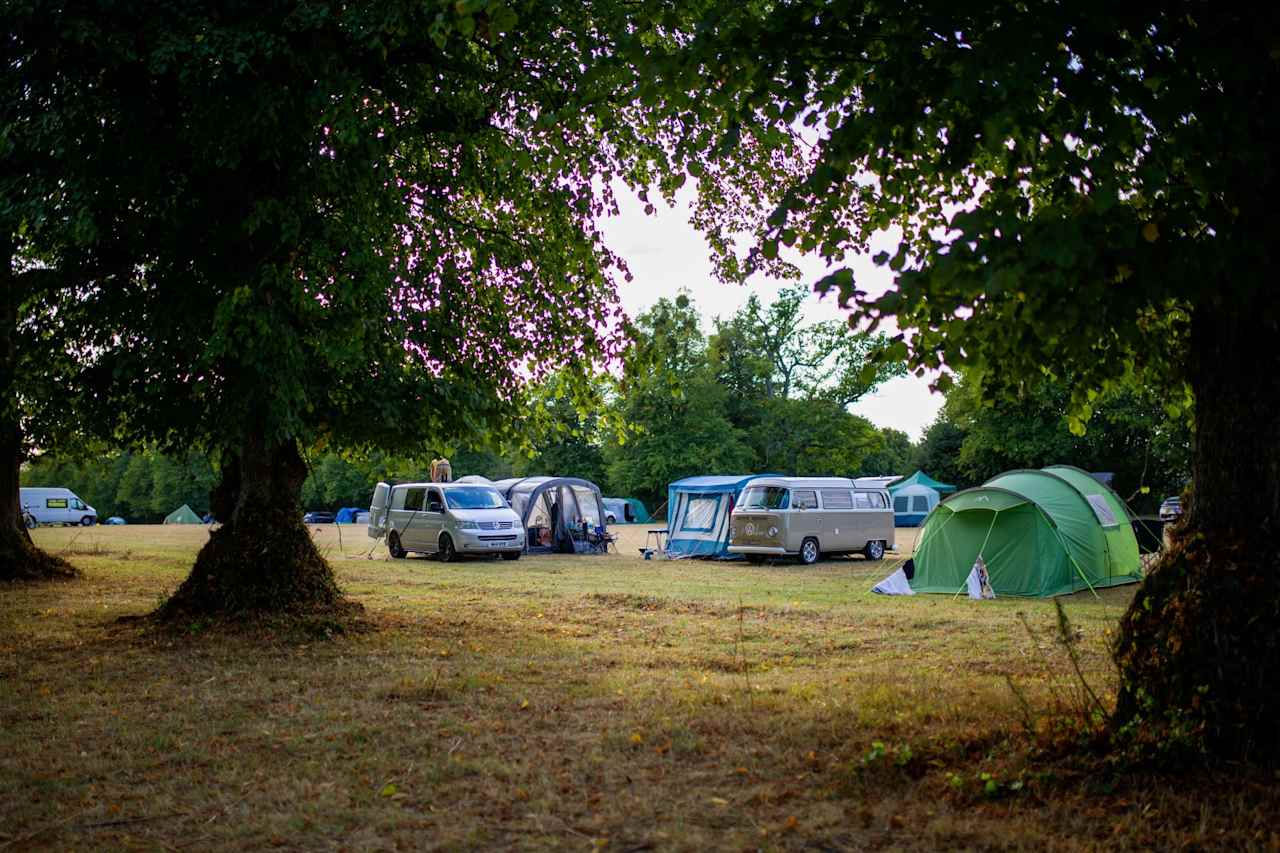 Harry's Meadow