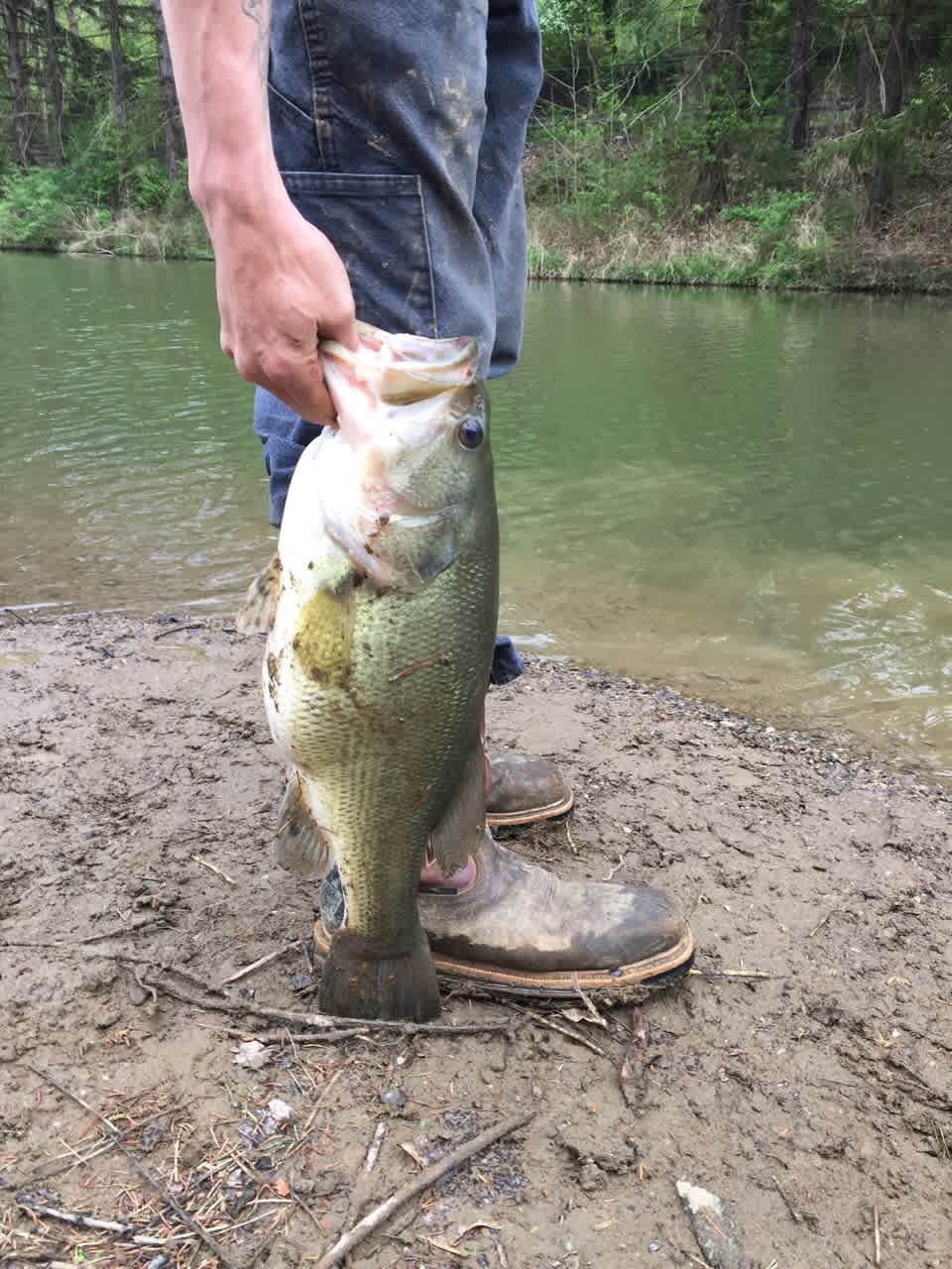 Lake Eron Park